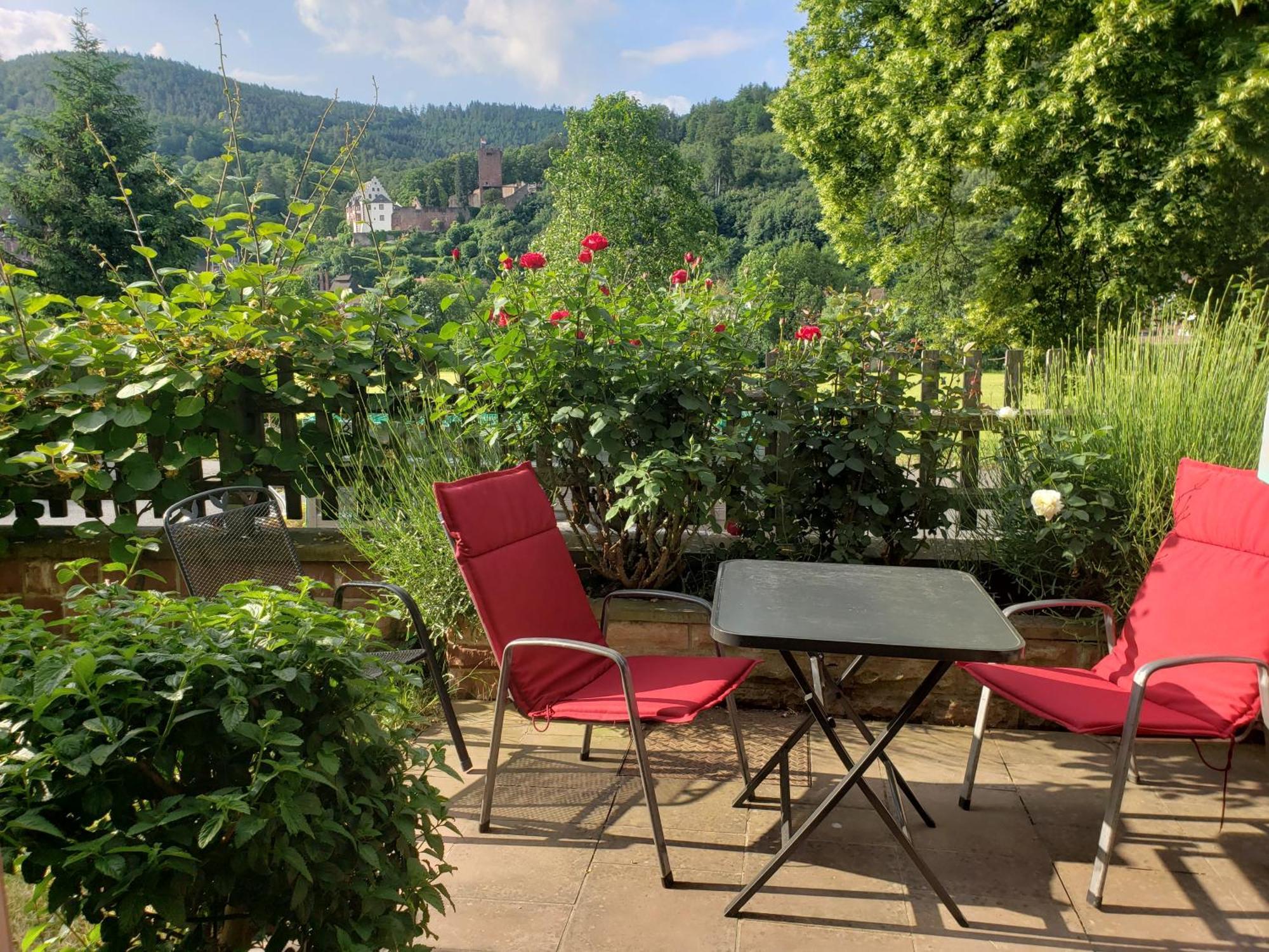 Panorama-Blick Miltenberg, 3 Pers., Zentr., Am Main, Terrasse, Bootverleih, P公寓 外观 照片