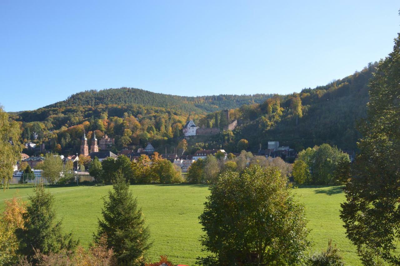 Panorama-Blick Miltenberg, 3 Pers., Zentr., Am Main, Terrasse, Bootverleih, P 外观 照片
