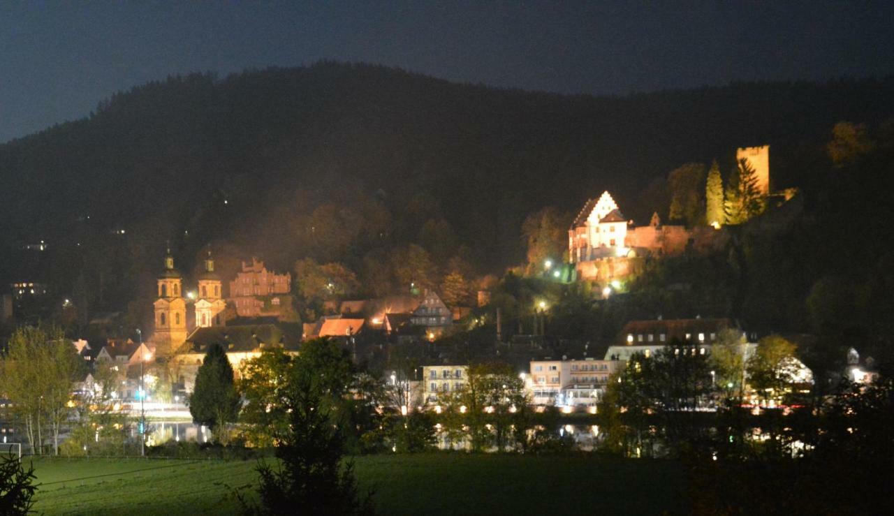 Panorama-Blick Miltenberg, 3 Pers., Zentr., Am Main, Terrasse, Bootverleih, P 外观 照片