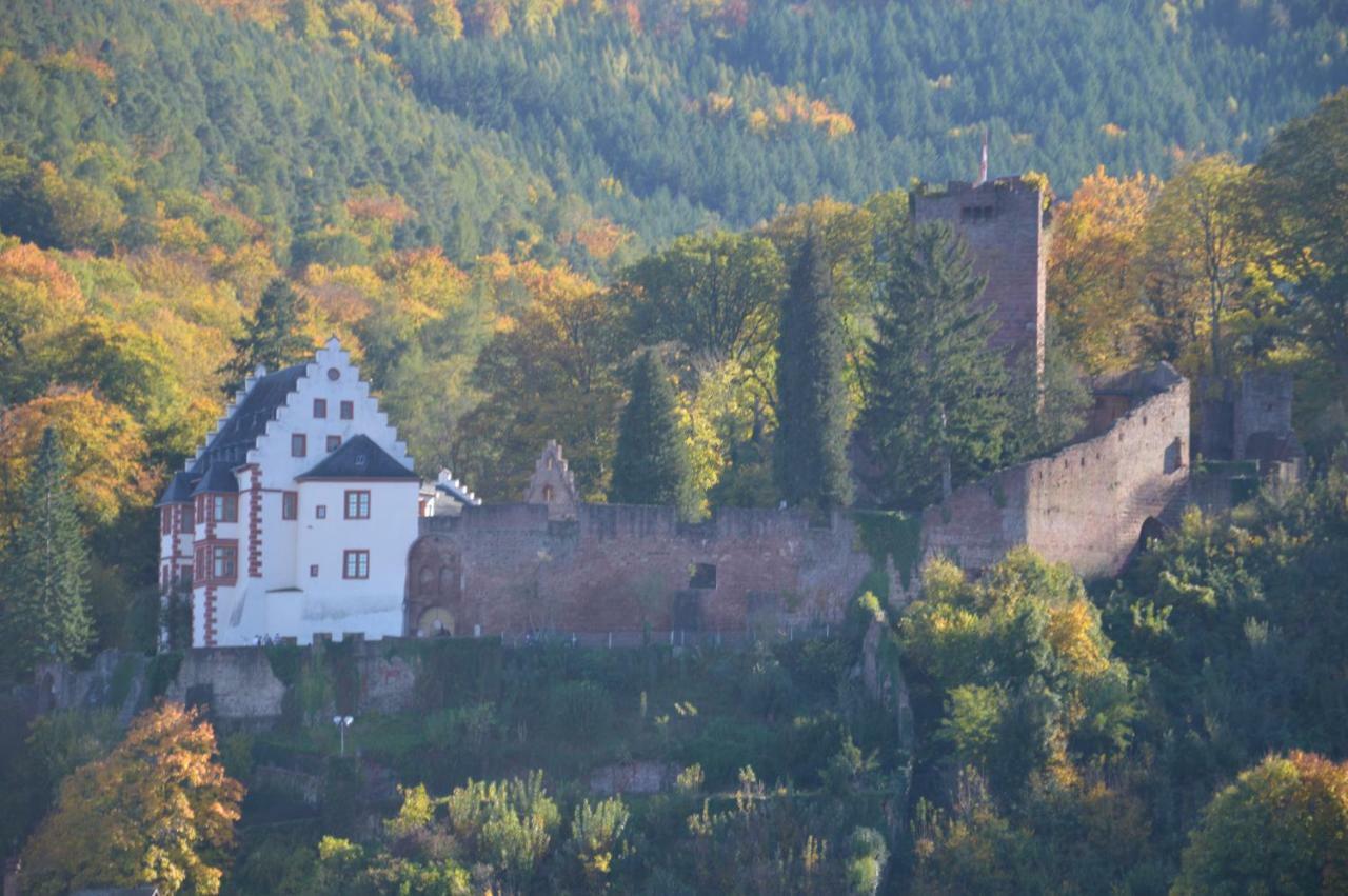 Panorama-Blick Miltenberg, 3 Pers., Zentr., Am Main, Terrasse, Bootverleih, P公寓 外观 照片