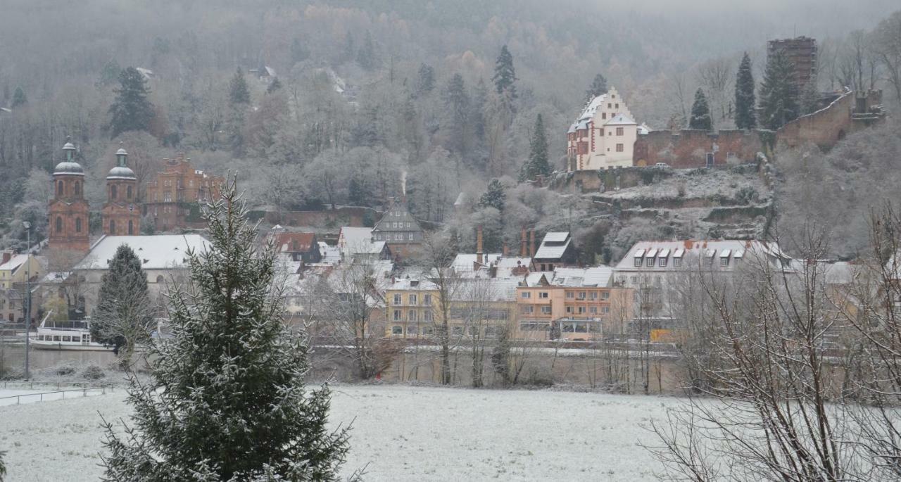 Panorama-Blick Miltenberg, 3 Pers., Zentr., Am Main, Terrasse, Bootverleih, P 外观 照片