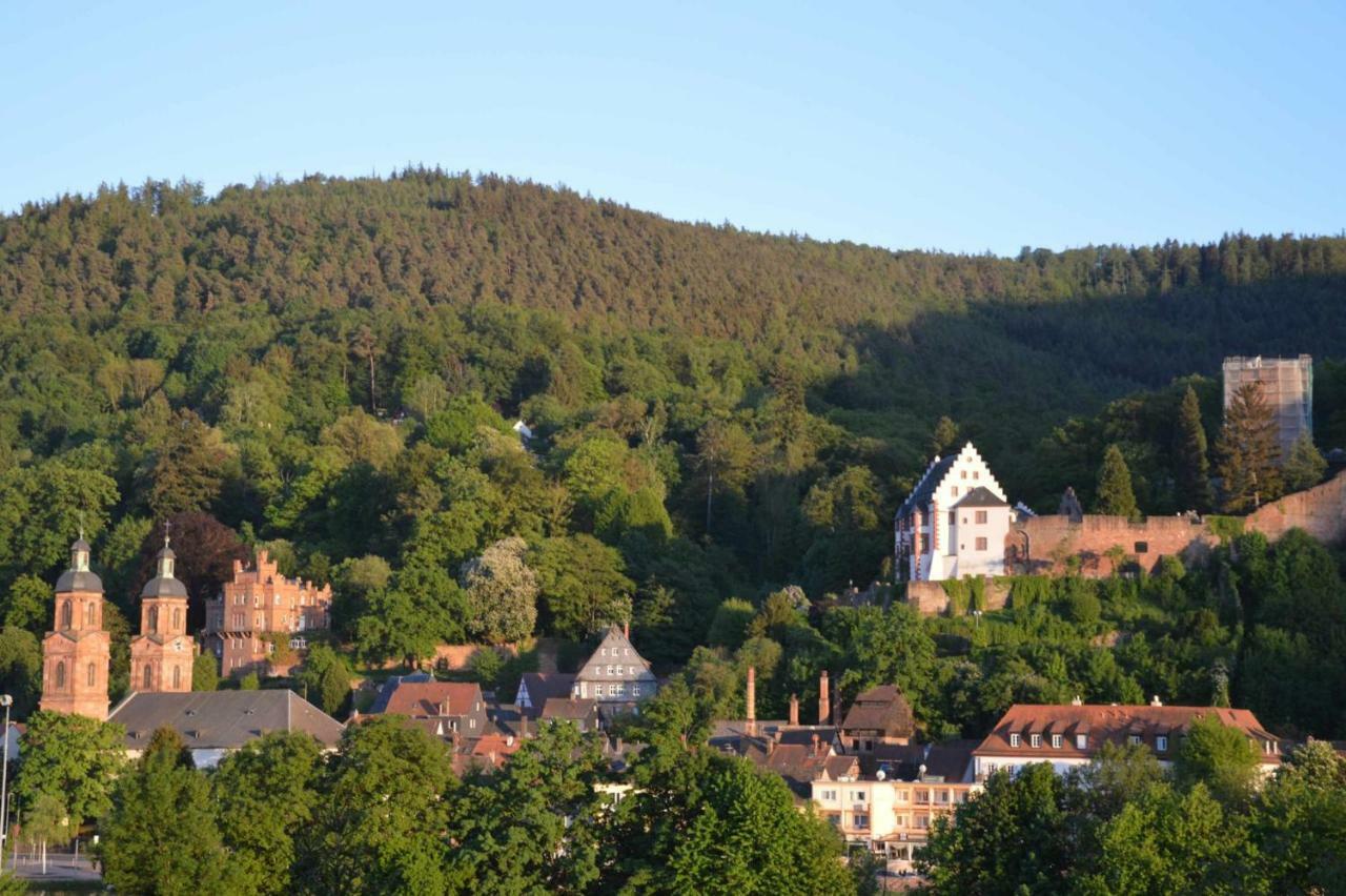 Panorama-Blick Miltenberg, 3 Pers., Zentr., Am Main, Terrasse, Bootverleih, P公寓 外观 照片