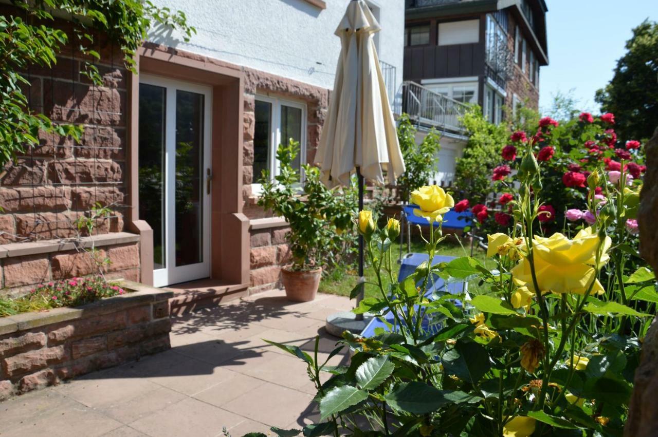 Panorama-Blick Miltenberg, 3 Pers., Zentr., Am Main, Terrasse, Bootverleih, P公寓 外观 照片